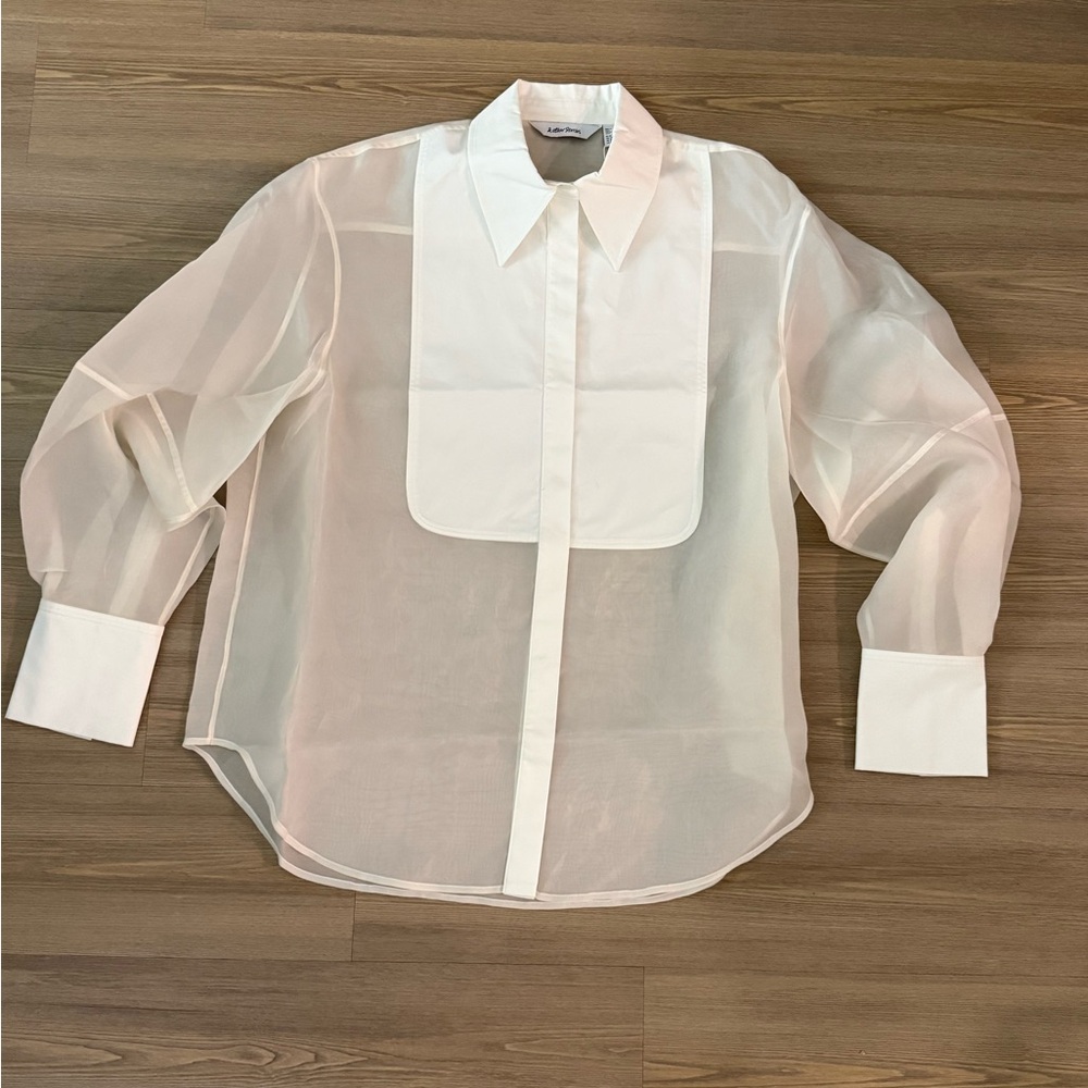 & Other Stories Collared Sheer Silk Dress Shirt
